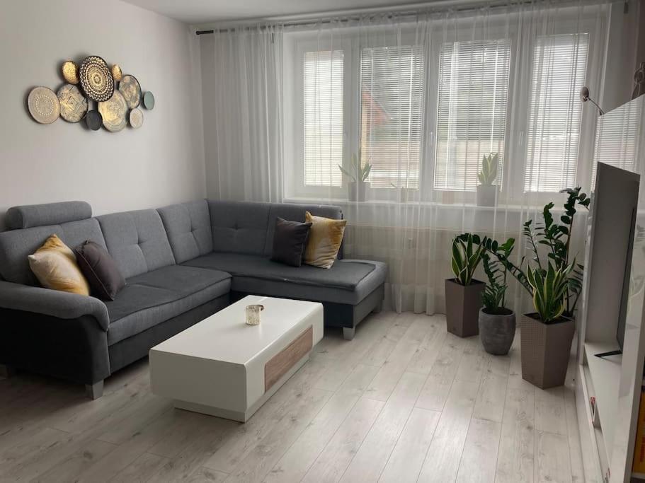 Апартаменти Apartman S Terasou, Bezplatne Parkovanie Братислава Екстер'єр фото